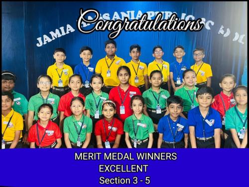 Merit Medal Winners ( Section 3 - 5)