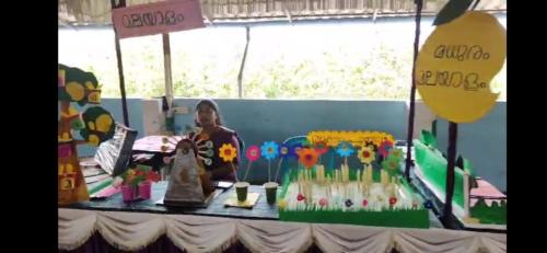 Edu Carnival